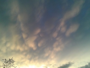 Un ciel pour Shauba