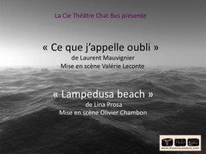 Spectacles d'élèves #17 de Lina Prosa et Laurent Mauvignier